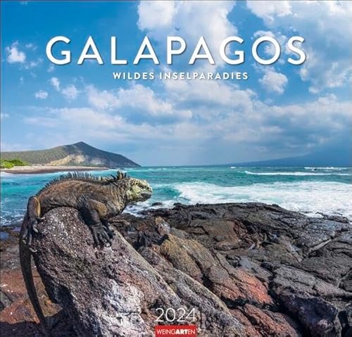 Galapagos Kalender 2024. Atemberaubende Fotos der Galapagosinseln und ihrer Wildtiere in einem Wandkalender 2024 Großformat. 48 x 46 cm: Wildes Inselparadis von Weingarten in Athesia Kalenderverlag GmbH