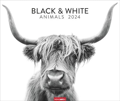 Black & White Animals - Kalender 2024 - Weingarten-Verlag - Wandkalender mit beeindruckenden Porträtaufnahmen - 55 cm x 46 cm von Weingarten