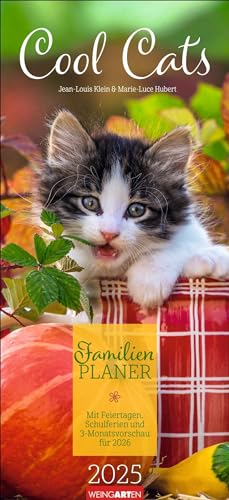 Cool Cats Familienplaner 2025: Großer Foto-Terminkalender mit 5 Spalten für Familien. Schöner Familien-Wandkalender 2025 mit süßen Katzen-Fotos. 22 x 48 cm (Tierkalender Weingarten) von Weingarten