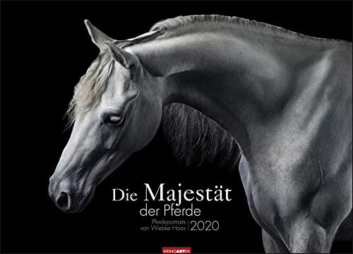 Die Majestät der Pferde - Kalender 2020 - Weingarten-Verlag - Wandkalender mit wunderschönen Aufnahmen - 68 cm x 49 cm von Weingarten