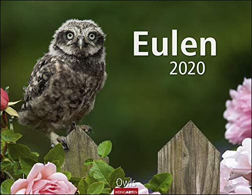 Eulen - Kalender 2020 - Weingarten-Verlag - Wandkalender mit eindrucksvollen Aufnahmen - 44 cm x 34 cm von Weingarten