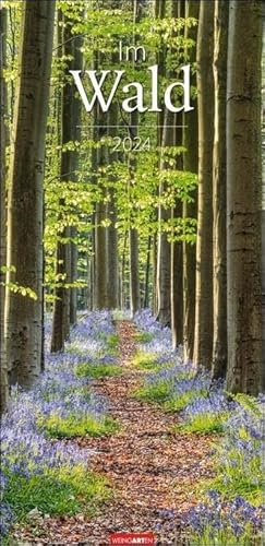 Im Wald Kalender 2024. Die heimischen Wälder in faszinierenden Fotos dargestellt in einem XL Kalender. Bäume und Co. in einem länglichen Kalender. 33x68 cm Hochformat von Weingarten
