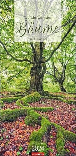 Wunderwelt der Bäume - Kalender 2024 - Weingarten-Verlag - Fotokalender im Vertikalformat - Wandkalender mit wundervollen Naturfotos - 33 cm x 68 cm von Weingarten