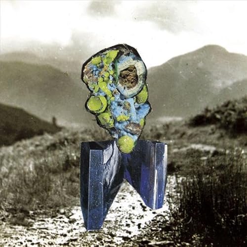 The Glass Trunk (Lp+Mp3) [Vinyl LP] von Weird World