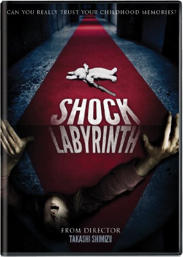Shock Labyrinth / (Dub Sub) [DVD] [Region 1] [NTSC] [US Import] von Well Go USA