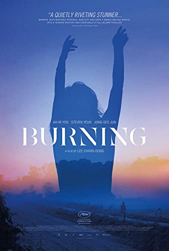 Burning Burning von Well Go Usa