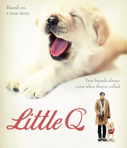 Little Q [Blu-ray] von Well Go Usa