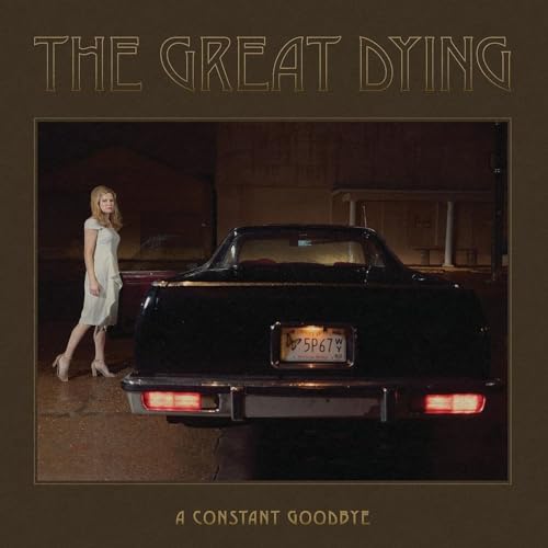 A Constant Goodbye [Vinyl LP] von Well Kept Secret / Cargo