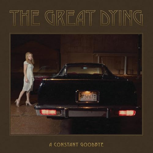A Constant Goodbye [Vinyl LP] von Well Kept Secret