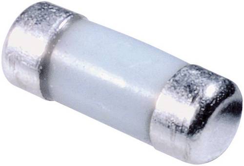 Weltron 103107020216 CSR0207FTDT1000 Metallschicht-Widerstand 100Ω SMD 0207 1W 1% 50 ppm von Weltron