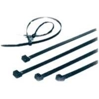 Kabelbinder, wetterfester Nylon, schwarz - Länge 100 mm Breite 2,5 mm von Wentronic