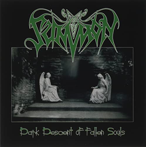Dark Descent Of Fallen Souls von Werewolf Records