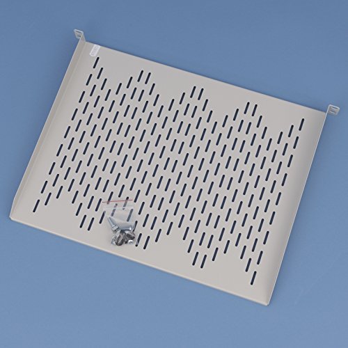 Werner GmbH 19" Fachboden 1 HE für Netzwerkschrank, 350mm tief, bis 16kg, RAL 7035 Lochblech, Stahl, grau, für Server, Netzwerkgeräte von Werner GmbH