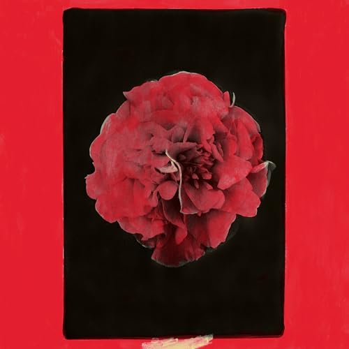 A Thousand Years in Another Way [Vinyl LP] von Western Vinyl / Cargo
