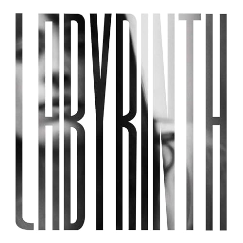 Labyrinth [Vinyl LP] von Western Vinyl / Cargo