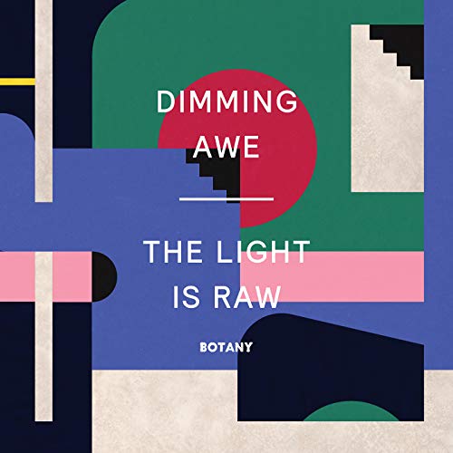 Dimming Awe, the Light Is Raw [Vinyl LP] von Western Vinyl