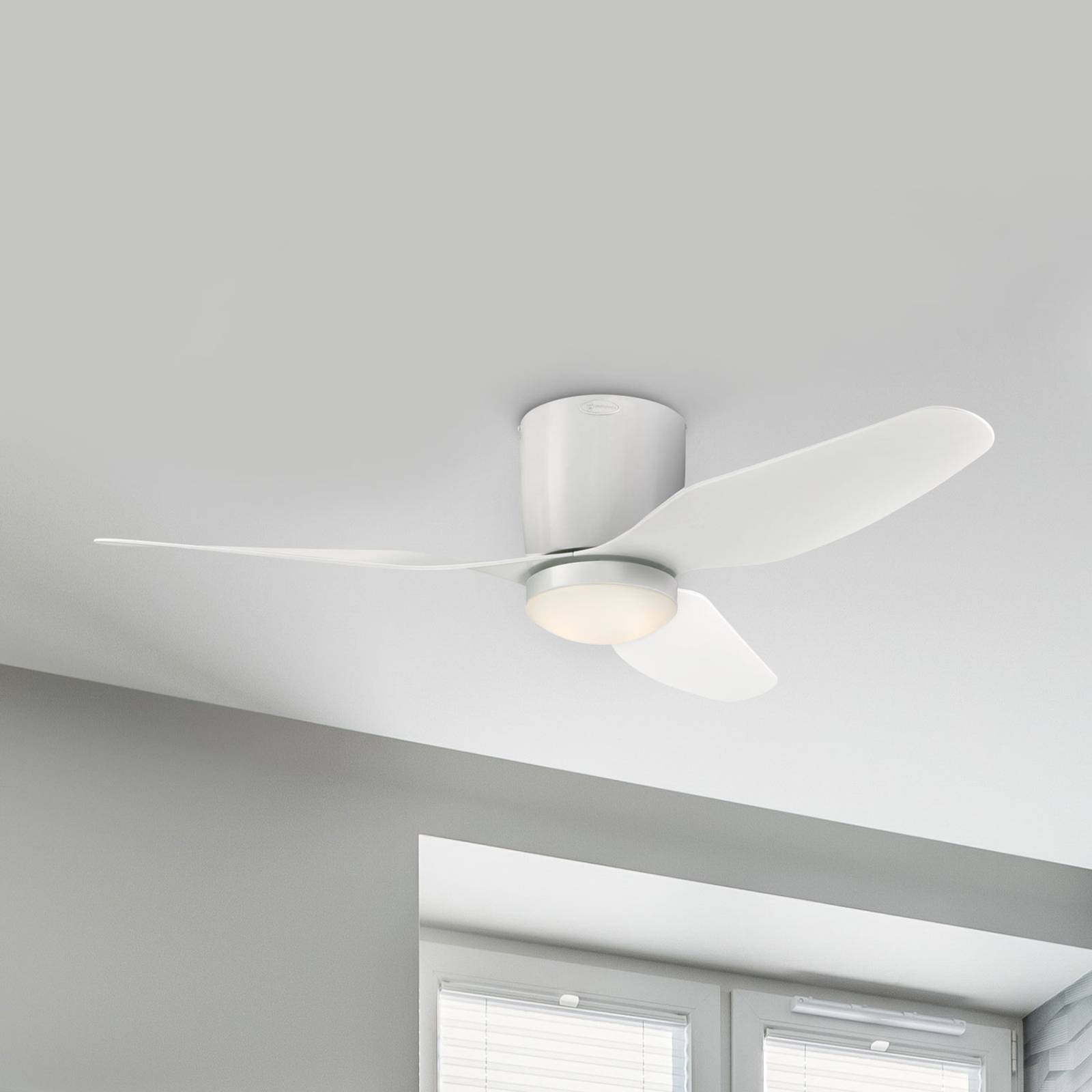 Westinghouse LED-Deckenventilator Carla, leise, 117 cm, weiß Westinghouse LED-Deckenventilator Carla, leise, 117 cm, weiß von Westinghouse