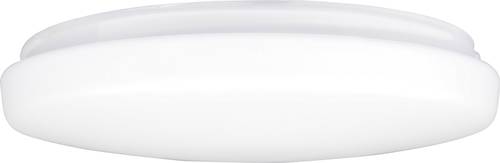 Westinghouse Deckenventilator-Leuchte Glas Westinghouse Deckenventilator-Leuchte Glas von Westinghouse