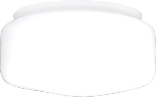 Westinghouse Deckenventilator-Leuchte Westinghouse Deckenventilator-Leuchte von Westinghouse