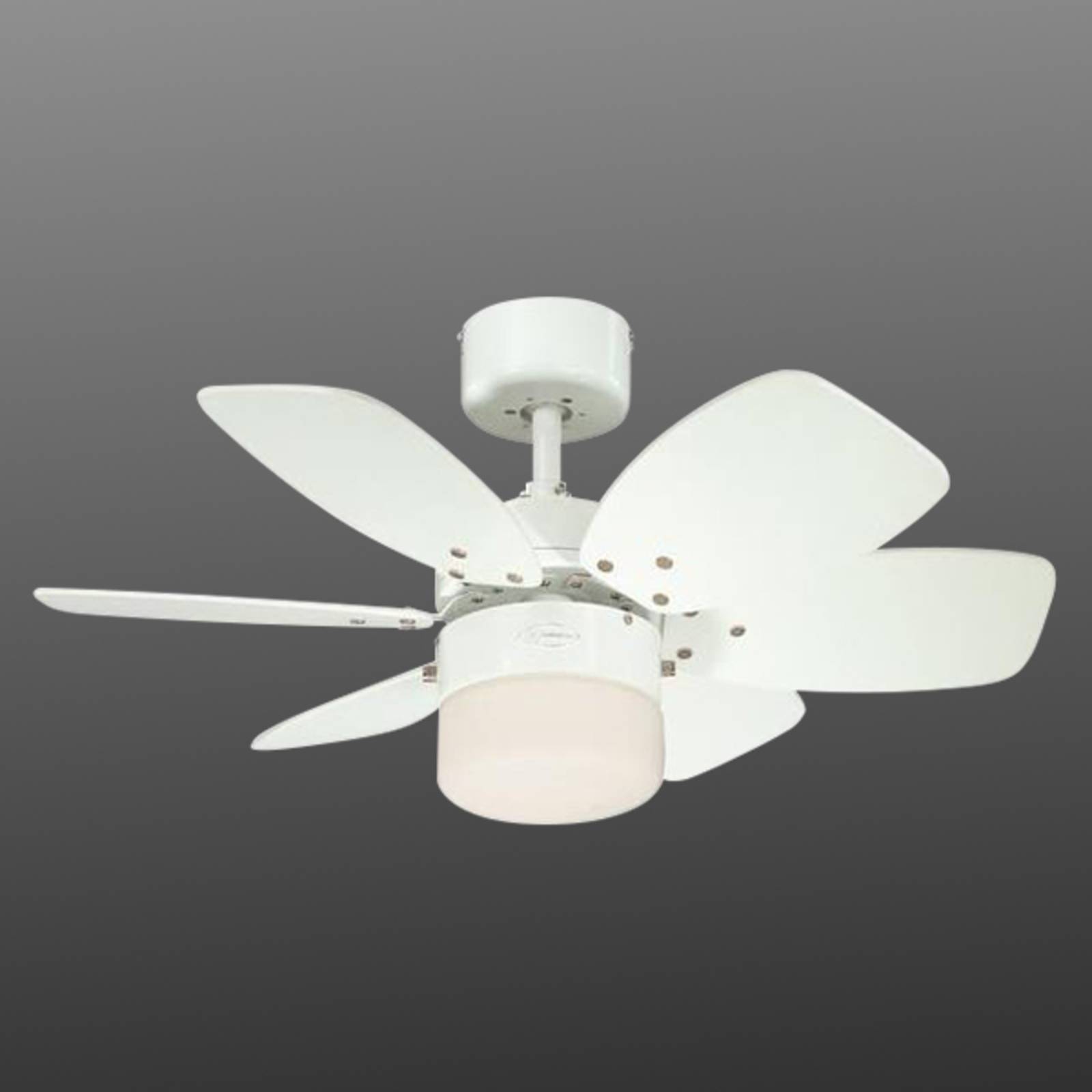 Westinghouse Flora Royale Ventilator mit Licht Westinghouse Flora Royale Ventilator mit Licht von Westinghouse