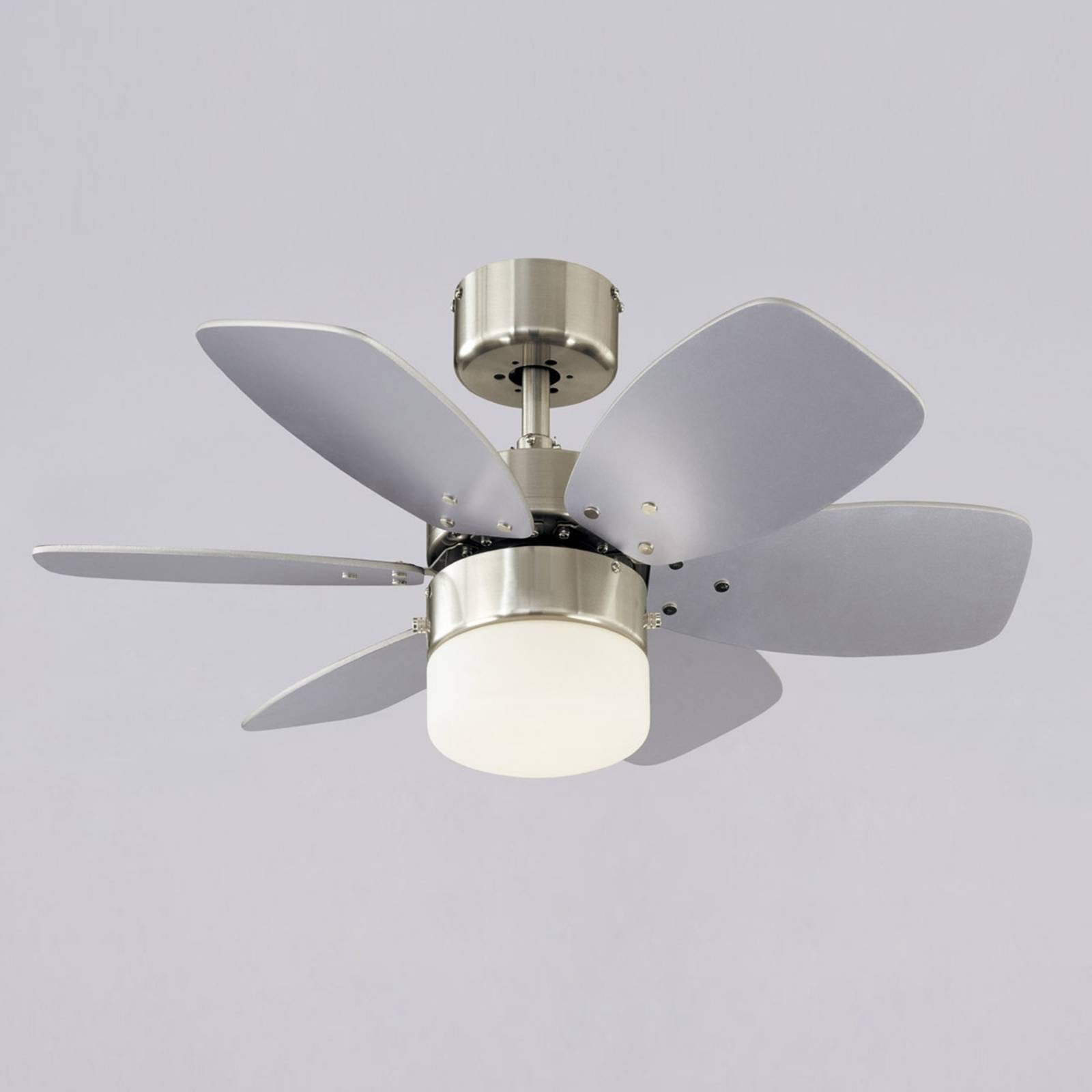 Westinghouse Floral Royal Deckenventilator Westinghouse Floral Royal Deckenventilator von Westinghouse