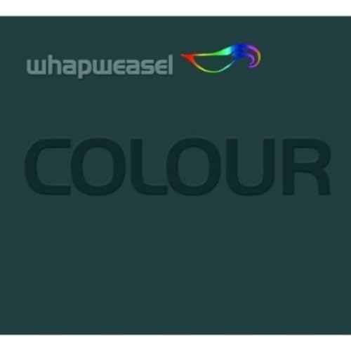 Colour Colour von Brighton