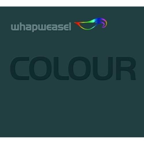 Colour von Brighton