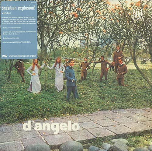 D'Angelo [Vinyl LP] von What Music