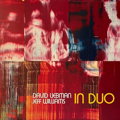 In Duo [Vinyl LP] von Whirlwind / Indigo