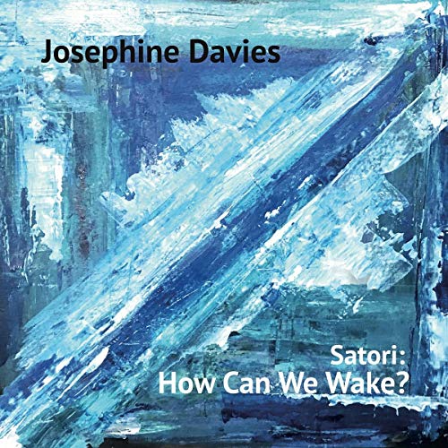 Satori: How Can We Wake? [Vinyl LP] von Whirlwind Recordings