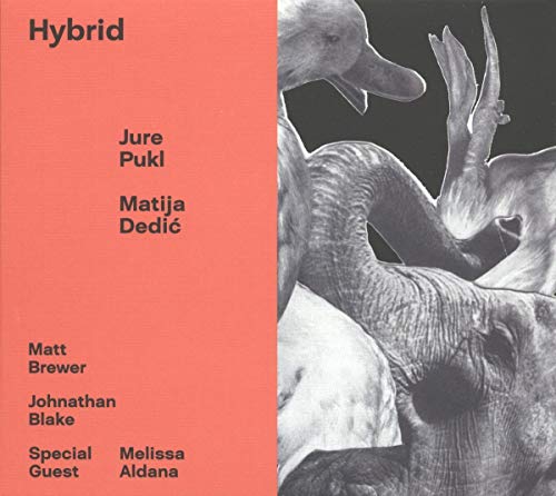 Hybrid von Whirlwind Recordings
