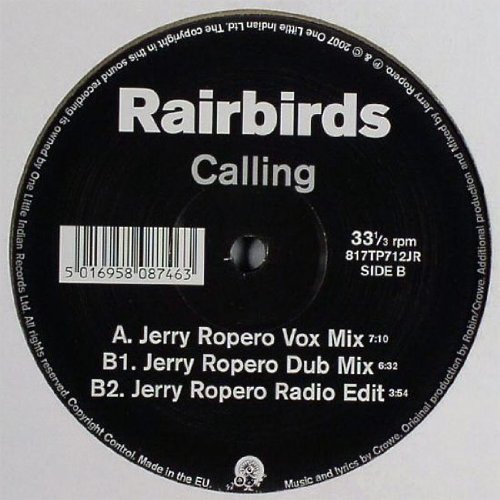Calling Remixes [Vinyl Single] von White Label