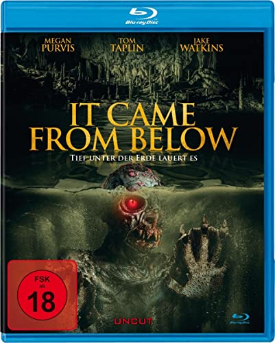 It came from below - Tief unter der Erde lauert es von White Pearl Movies / daredo (Soulfood)