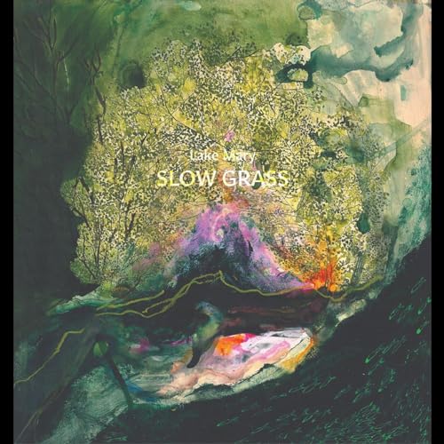 Slow Grass [Vinyl LP] von Whited Sepulchre Records