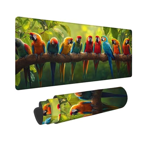 Mauspad Tier Mousepad Papagei Schreibtischunterlage, Wassxerdicht VerläNgertes Desk Mat, rutschfeste Gummibasis mit VernäHte Kanten für Gaming, BüRo, Zuhause, Geschenke für Frauen 600x300x3mm WR-491 Mauspad Tier Mousepad Papagei Schreibtischunterlage, Wassxerdicht VerläNgertes Desk Mat, rutschfeste Gummibasis mit VernäHte Kanten für Gaming, BüRo, Zuhause, Geschenke für Frauen 600x300x3mm WR-491 von Whoonng