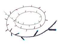 WiZ LEDstrip 20 m, Intelligente Lichterkette, Wi-Fi, Schwarz, LED, Kunststoff, Nicht austauschbare Glühbirne(n) von Philips