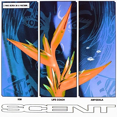 Kim [Vinyl LP] von Wichita Recordings