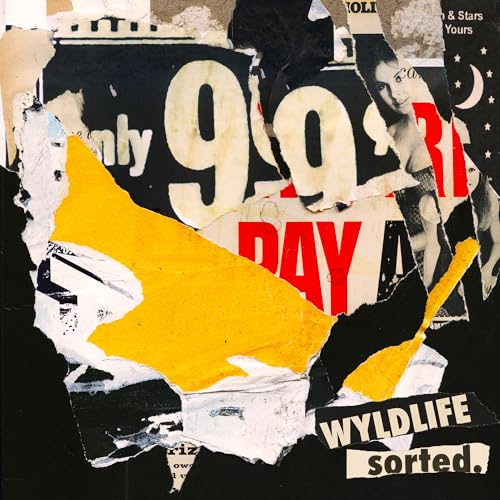 sorted. [Vinyl LP] von Wicked Cool Records