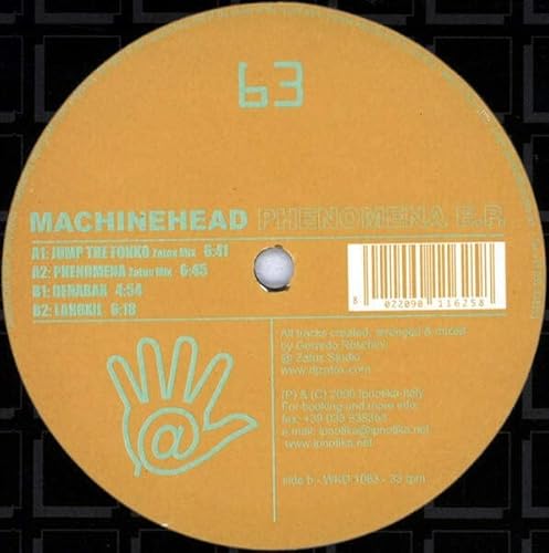Phenomena Ep [Vinyl Single] von Wicked