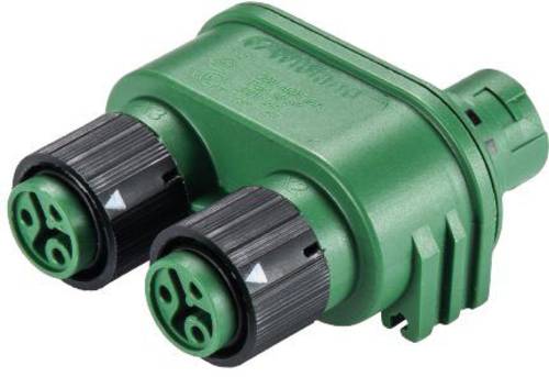 Wieland 46.030.1255.7 Rundstecker Verteiler Gesamtpolzahl: 2 + PE Serie (Rundsteckverbinder): RST® von Wieland