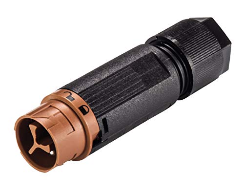 Wieland 46.032.4551.4 Rundstecker Stecker, gerade Serie (Rundsteckverbinder): RST® Mini Gesamtpolzahl: 2 1 St. von Wieland