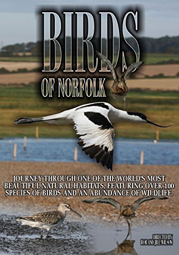 Birds Of Norfolk: A Bird Watch [DVD] [2010] von Wienerworld
