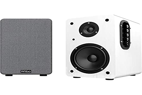 WIIBO- Neo 100 - Vintage Tragbare Bluetooth-Lautsprecher - HiFi Smart Speakers - Regallautsprecher - Leistung 100W - 250 mm x 180 mm x 300 mm - Farbe Weiß von Wiibo