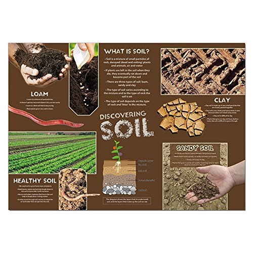 wildgoose Bildung SC1133 entdecken Boden Poster von Wildgoose Education