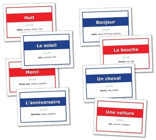wildgoose Bildung fr2220 French Forbidden Worte Game Card (20 Stück) von Wildgoose Education