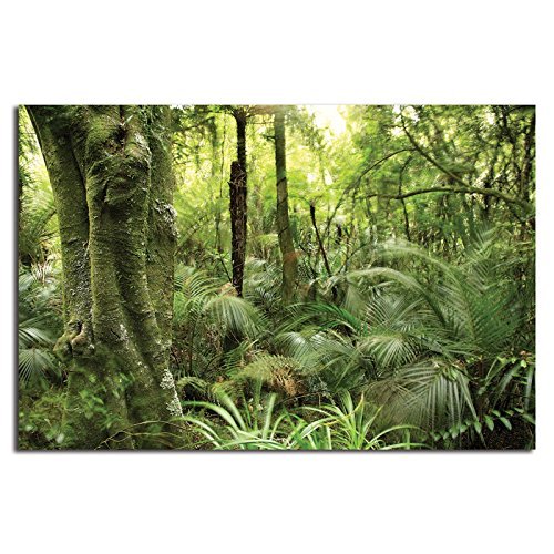 wildgoose Bildung wg5000 – The Rainforest scene Hintergrund, 150 cm x 100 cm von Wildgoose Education