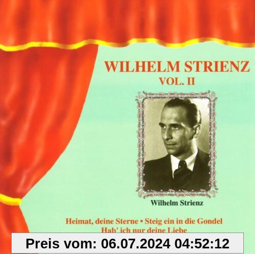 Wilhelm Strienz Vol. 2 von Wilhelm Strienz