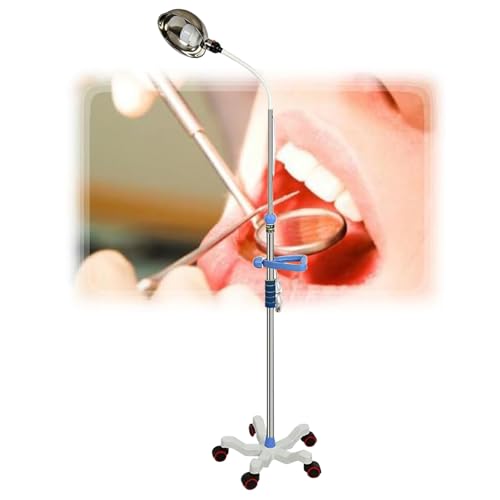Chirurgische Untersuchungsleuchte, Untersuchungsleuchte mit Schwanenhals, Stehlampe mit mobilem Sockel und Rädern, für ambulante gynäkologische Patienten von WilkSxyc
