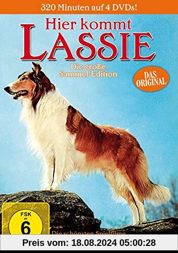 Hier kommt Lassie [4 DVDs] von William Beaudine