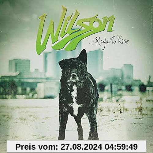 Right to Rise von Wilson